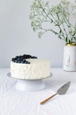 unsplash_tA3sJ4u09eU_white cake.jpg